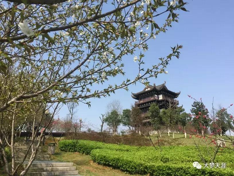 在青山花海古村中品味春光績溪家朋半日遊