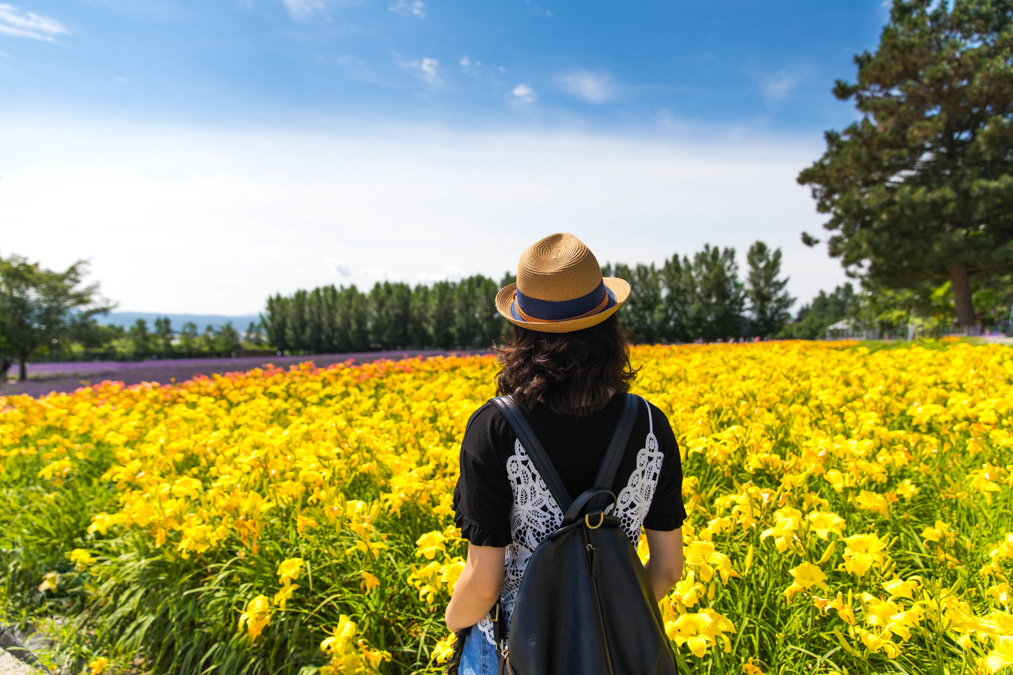 北海道自助遊攻略