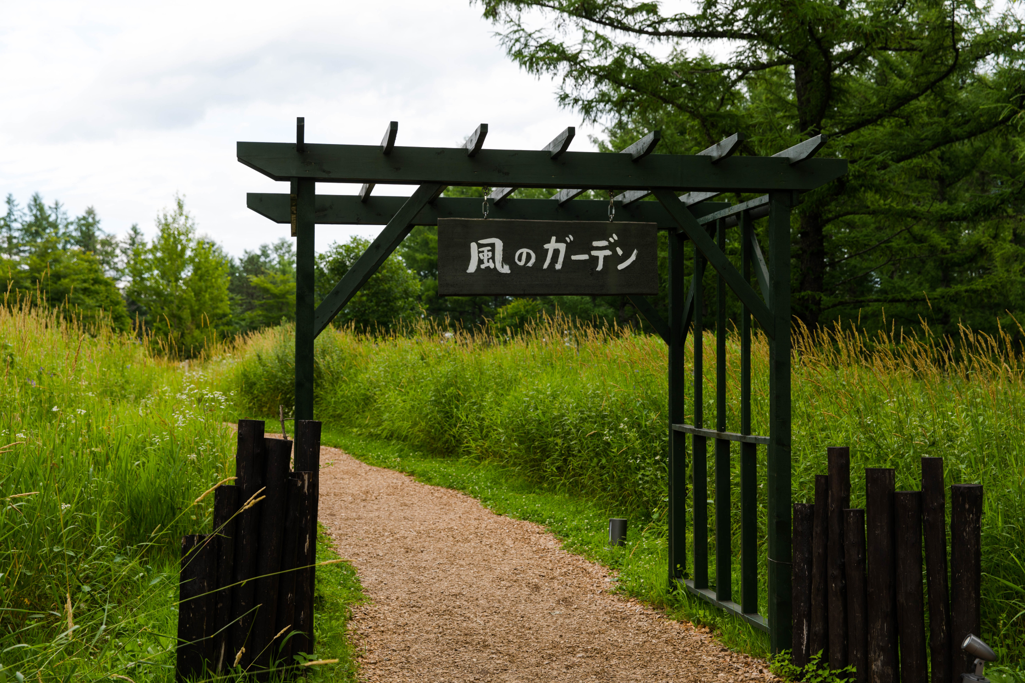 北海道自助遊攻略