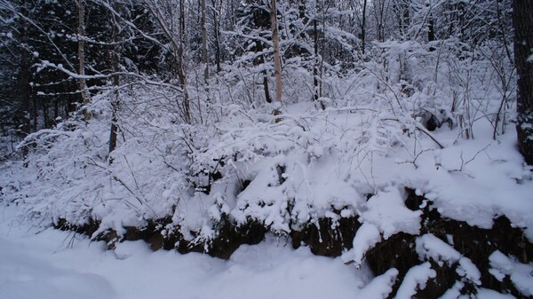 雪鄉自助遊攻略