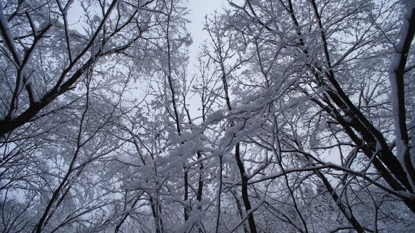 雪鄉自助遊攻略