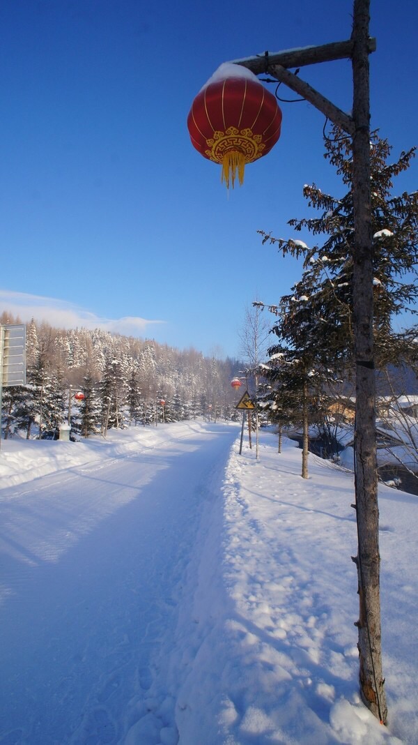 雪鄉自助遊攻略