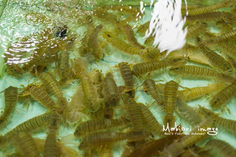 北海除了涠洲岛，还可以这样玩！（附美食住宿）