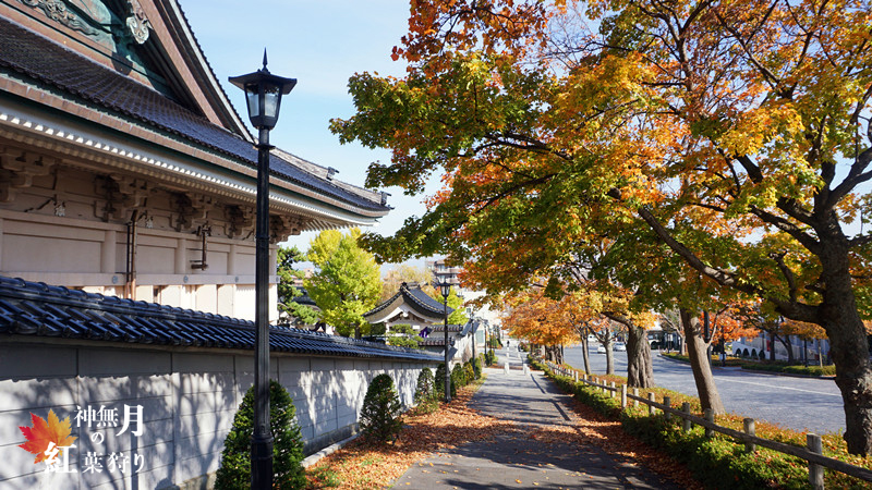 北海道自助遊攻略