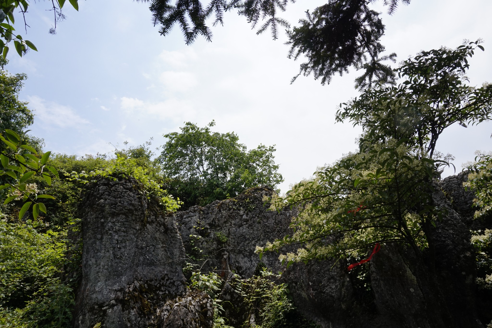 清涼世界華鎣山,華鎣旅遊攻略 - 馬蜂窩