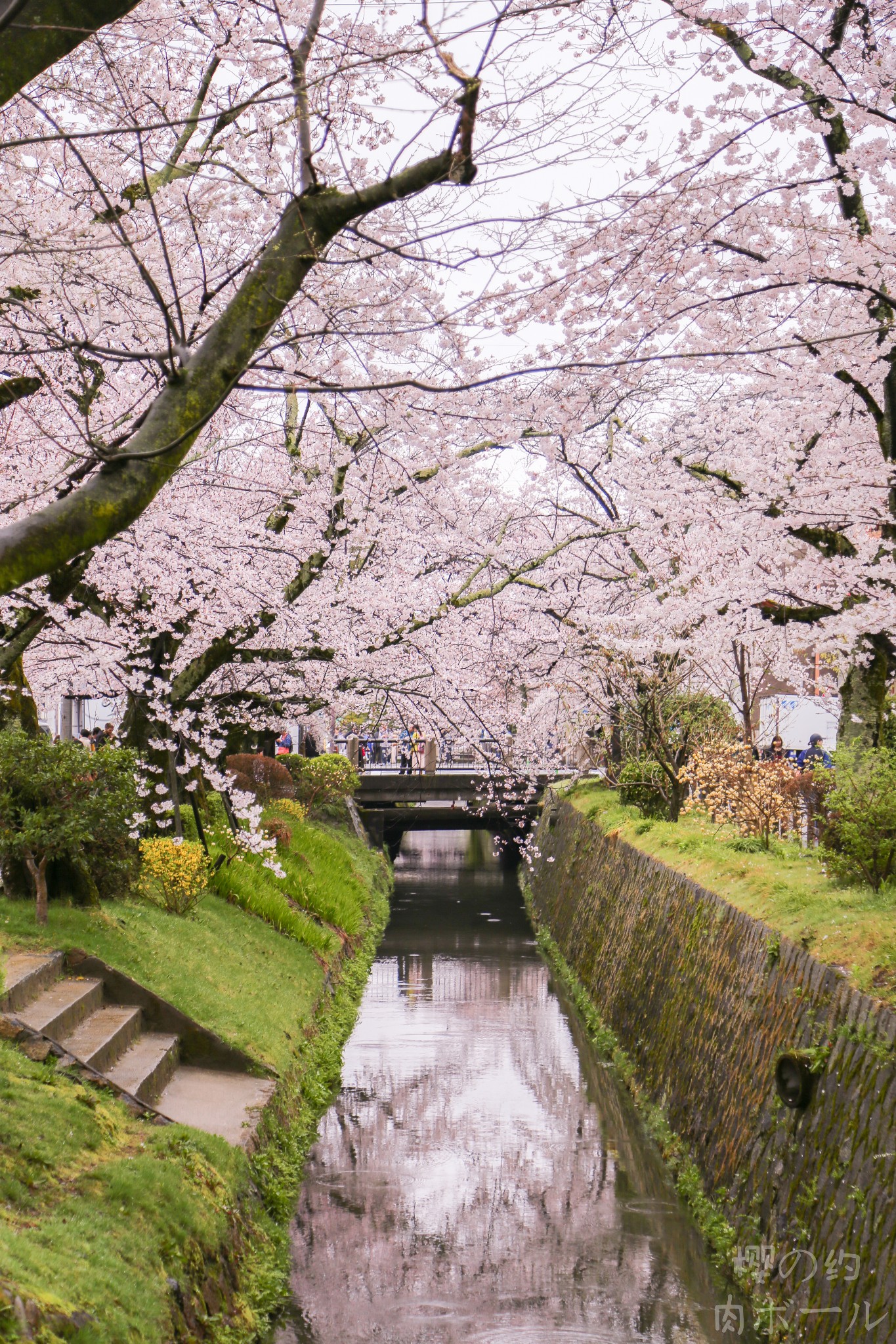 京都自助遊攻略