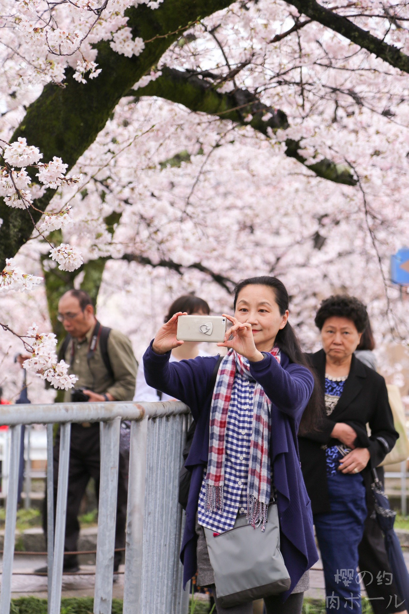 京都自助遊攻略