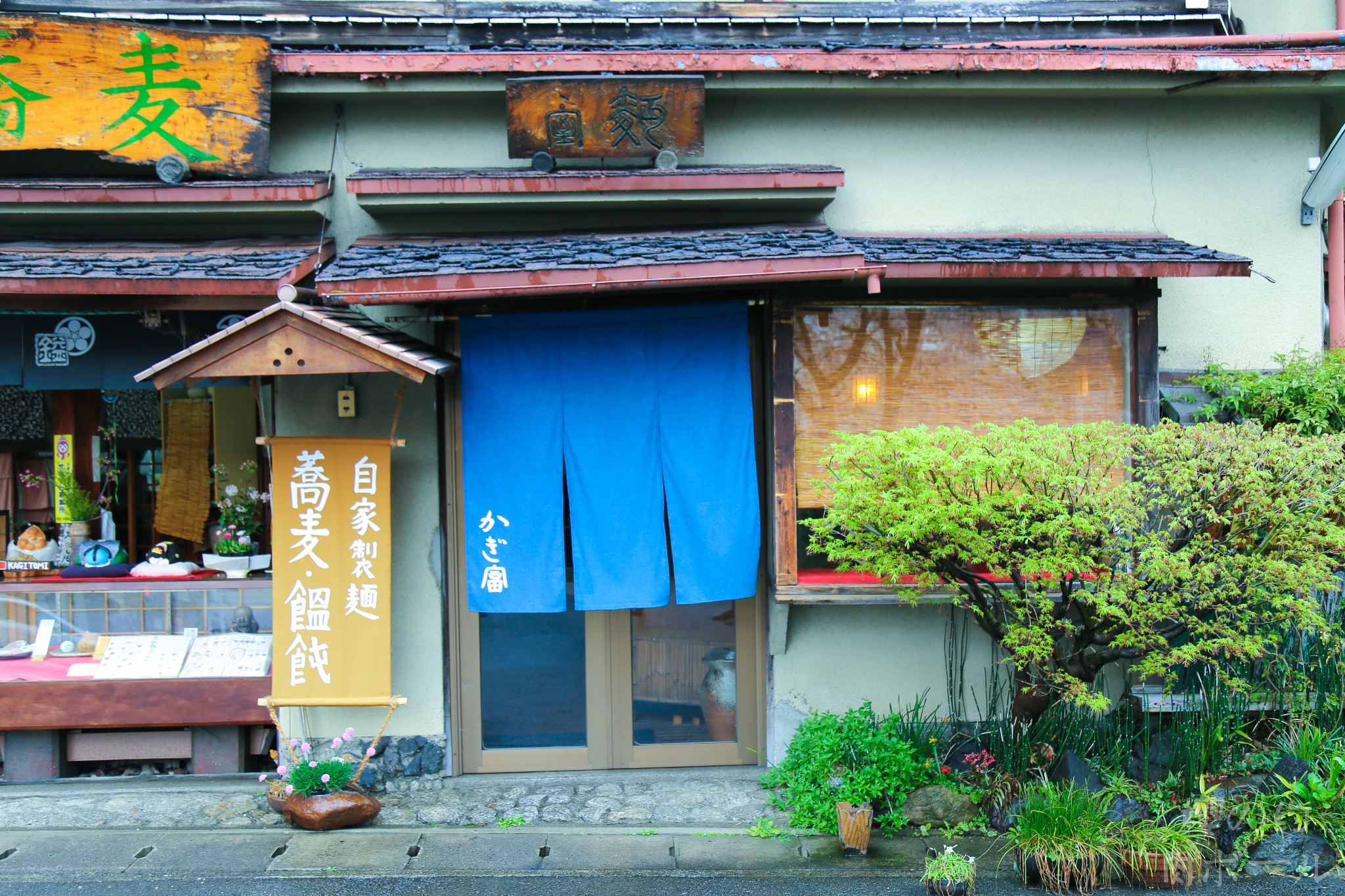 京都自助遊攻略