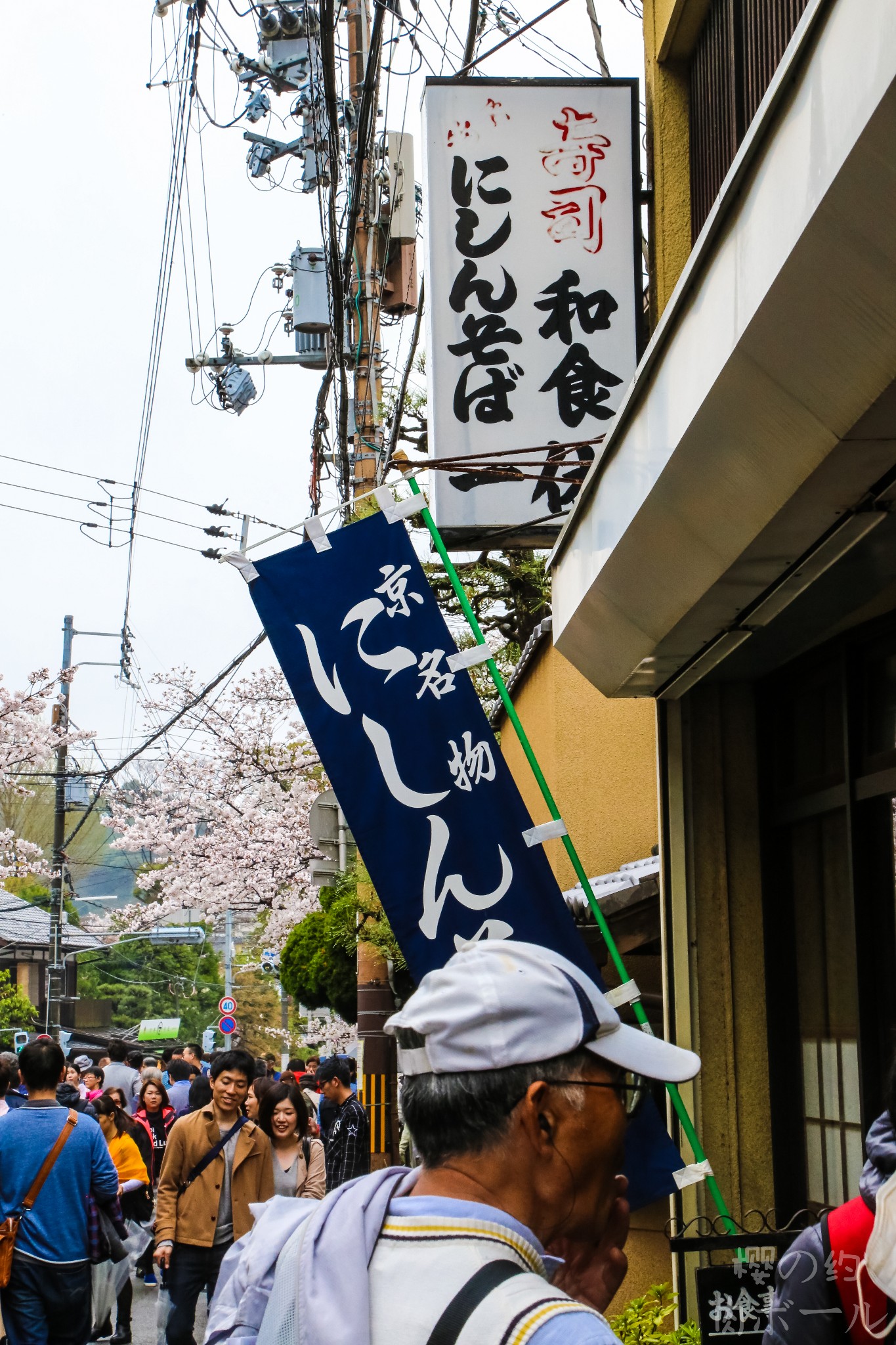 京都自助遊攻略