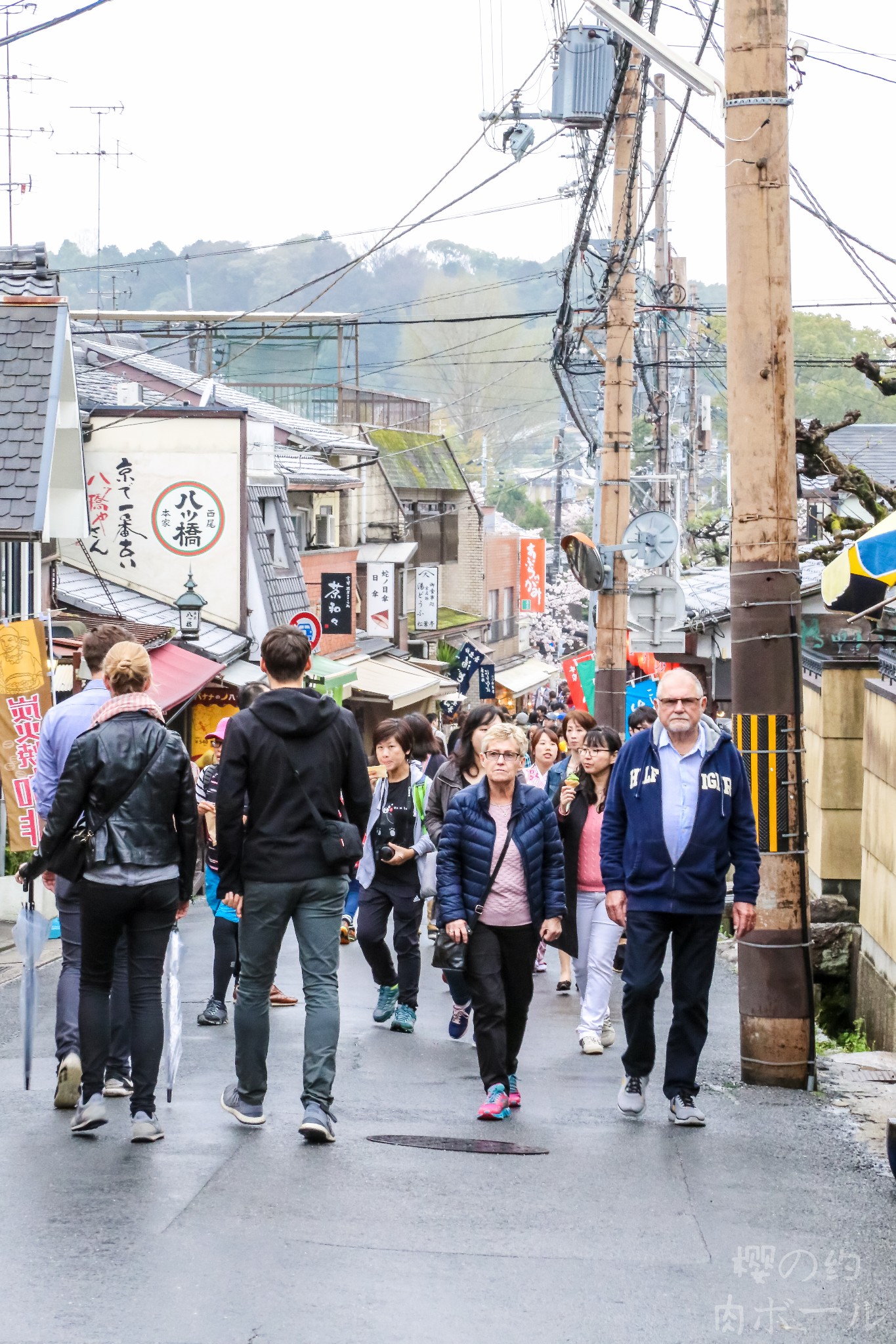 京都自助遊攻略