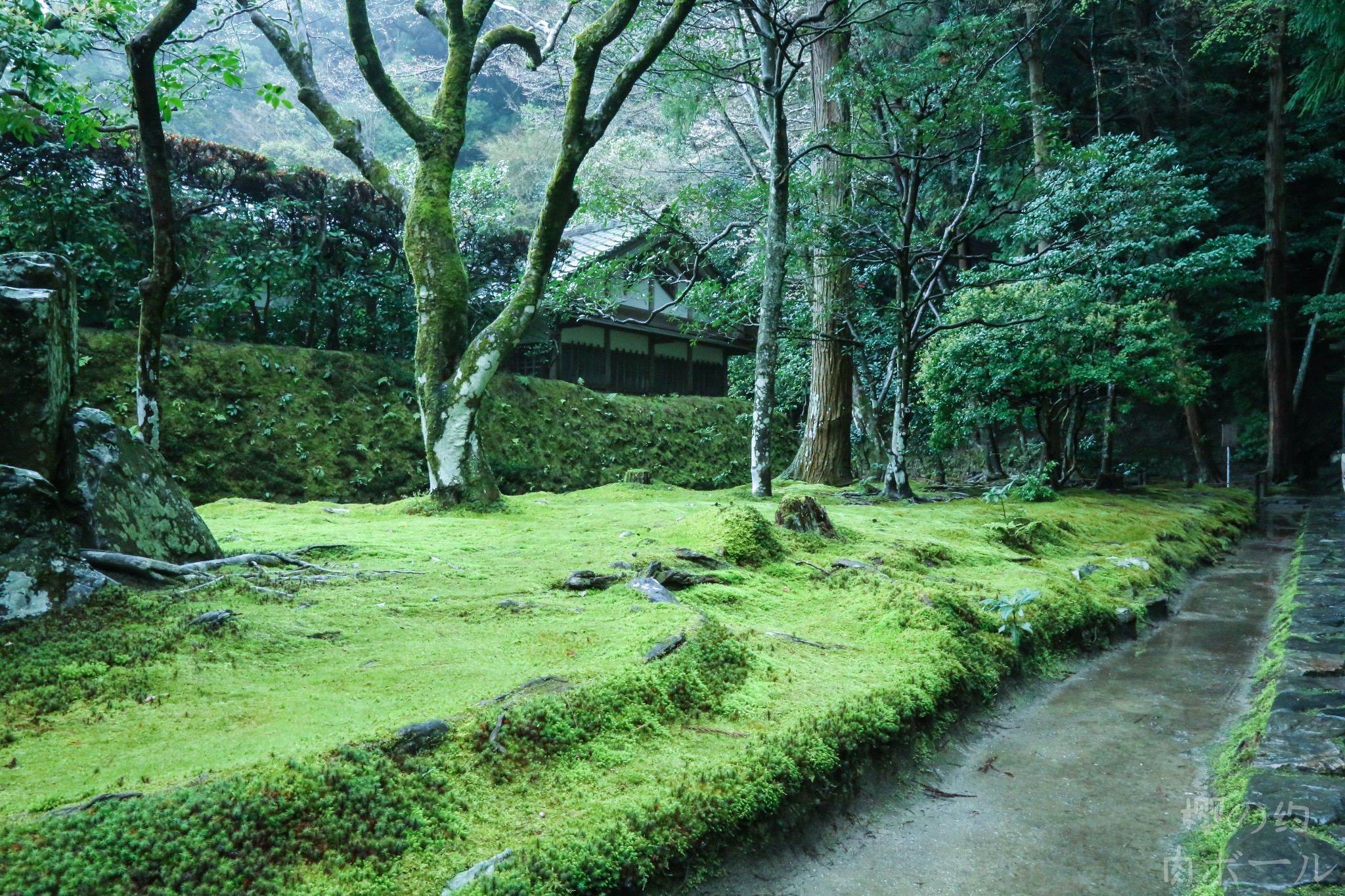 京都自助遊攻略