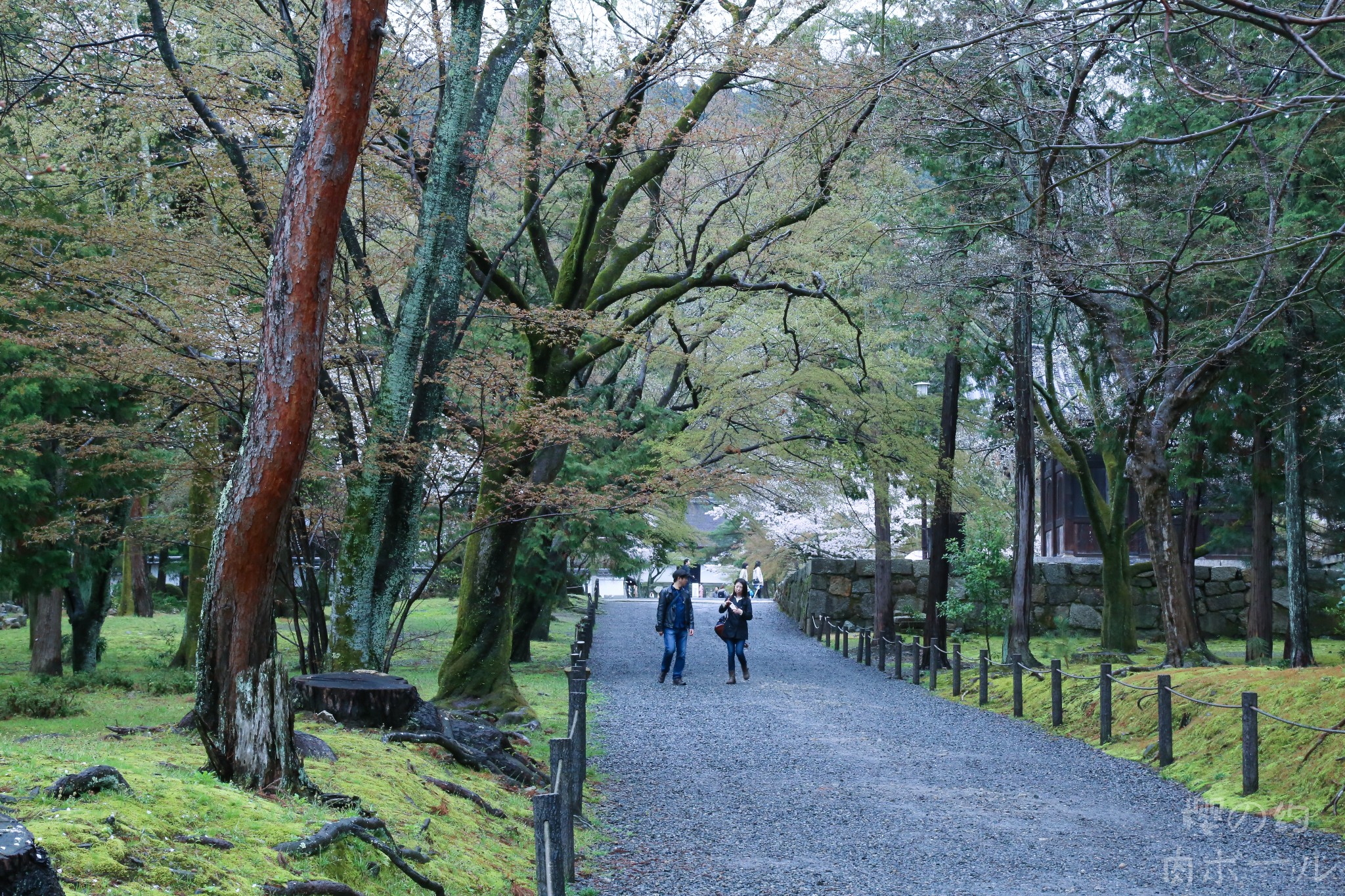 京都自助遊攻略