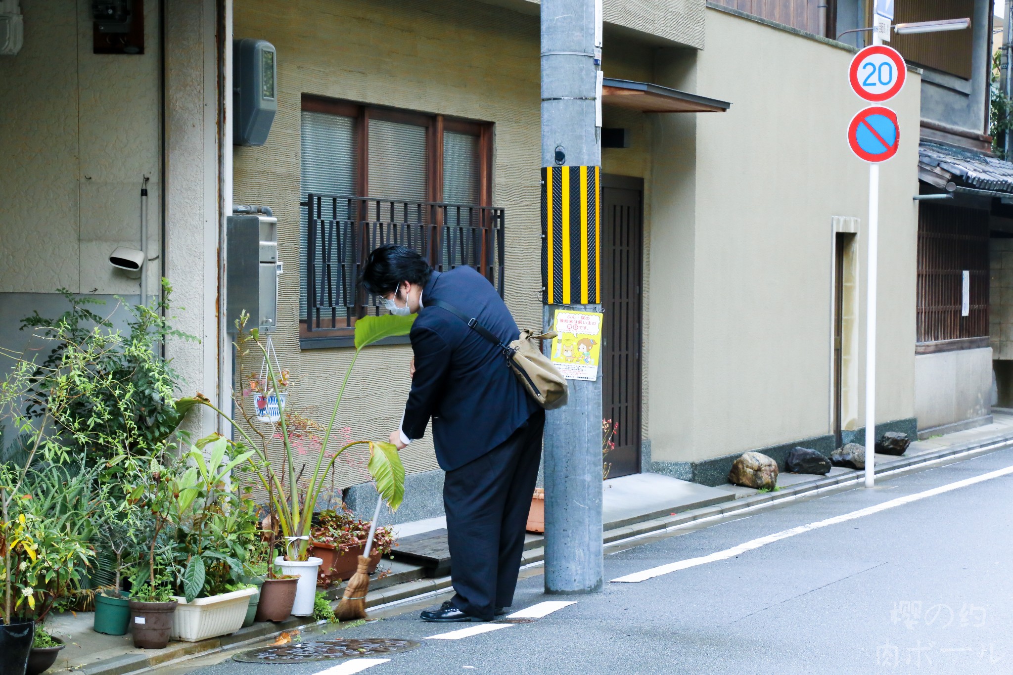 京都自助遊攻略