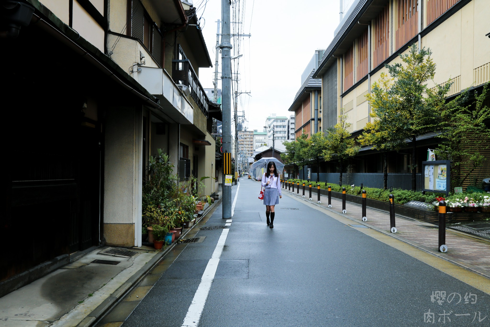 京都自助遊攻略