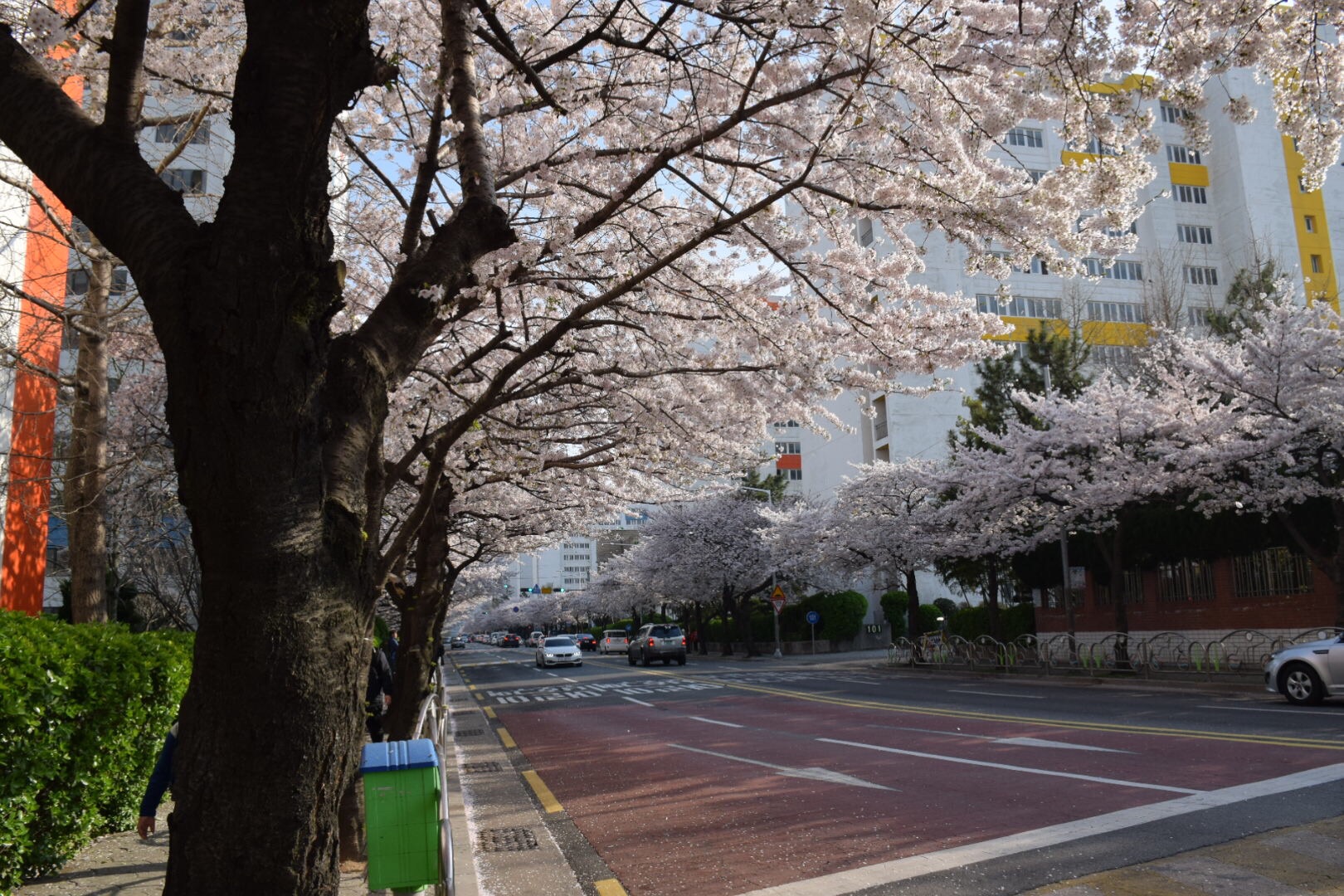seoulbusan随记遇上最美的季节首尔釜山