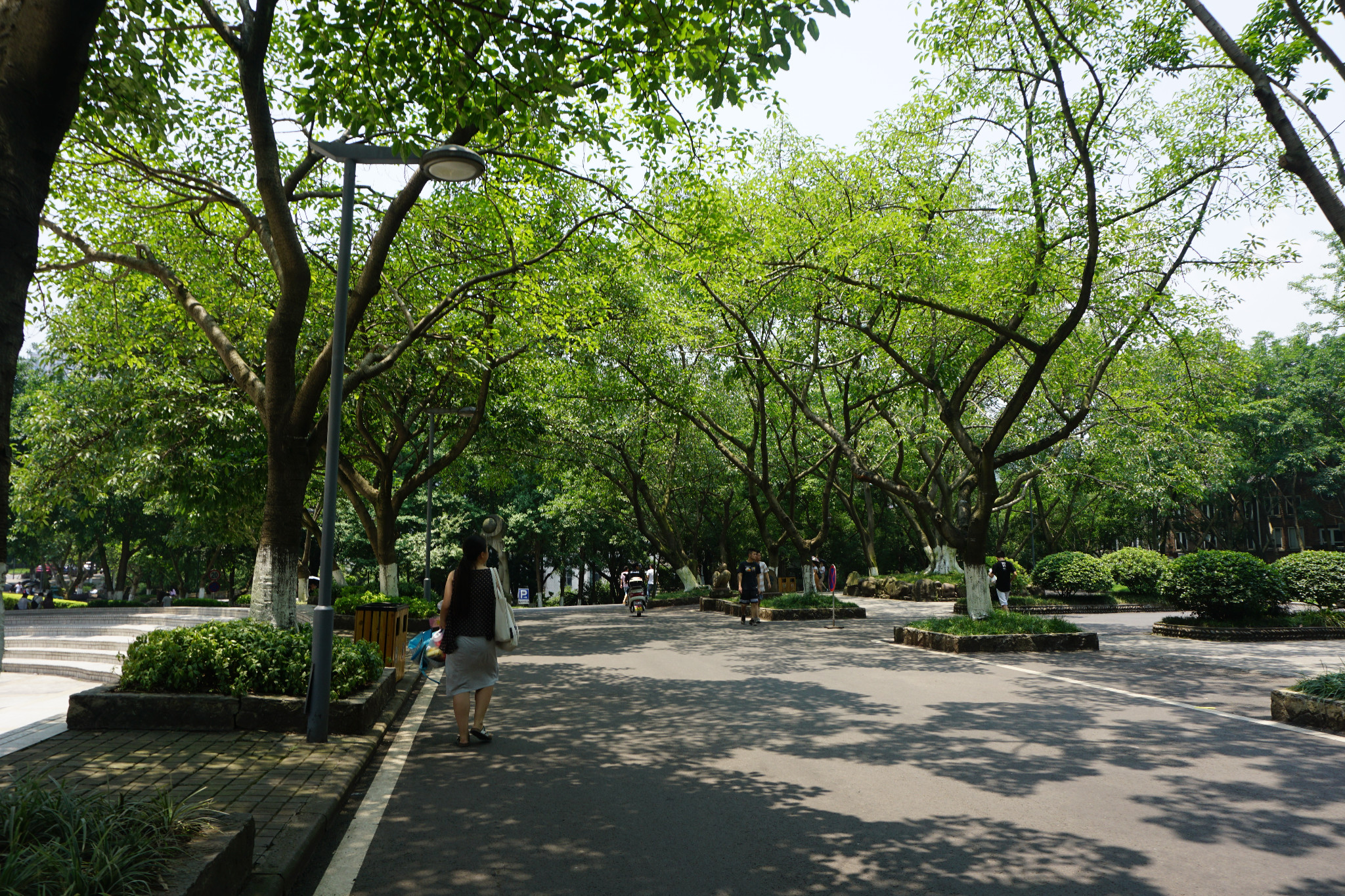 四川美术学院