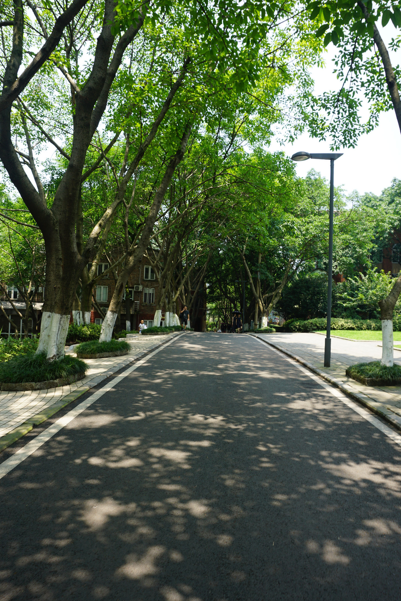 四川美术学院