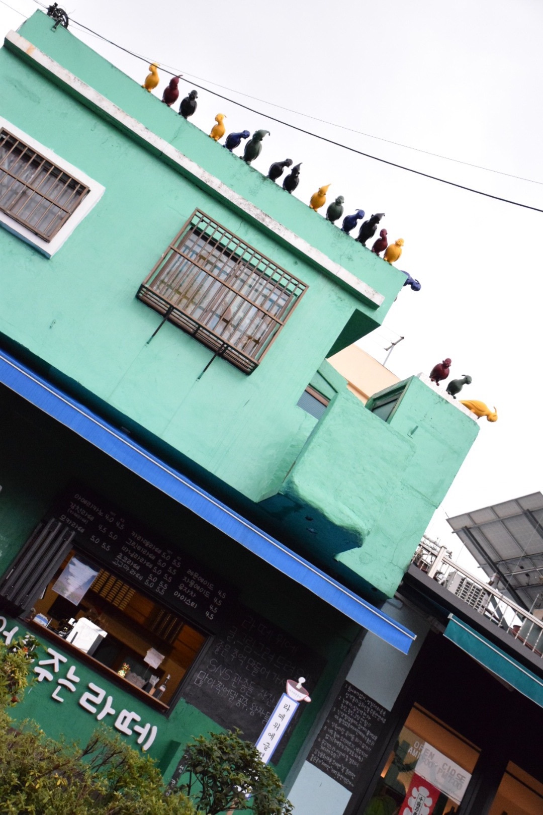 seoulbusan随记遇上最美的季节首尔釜山