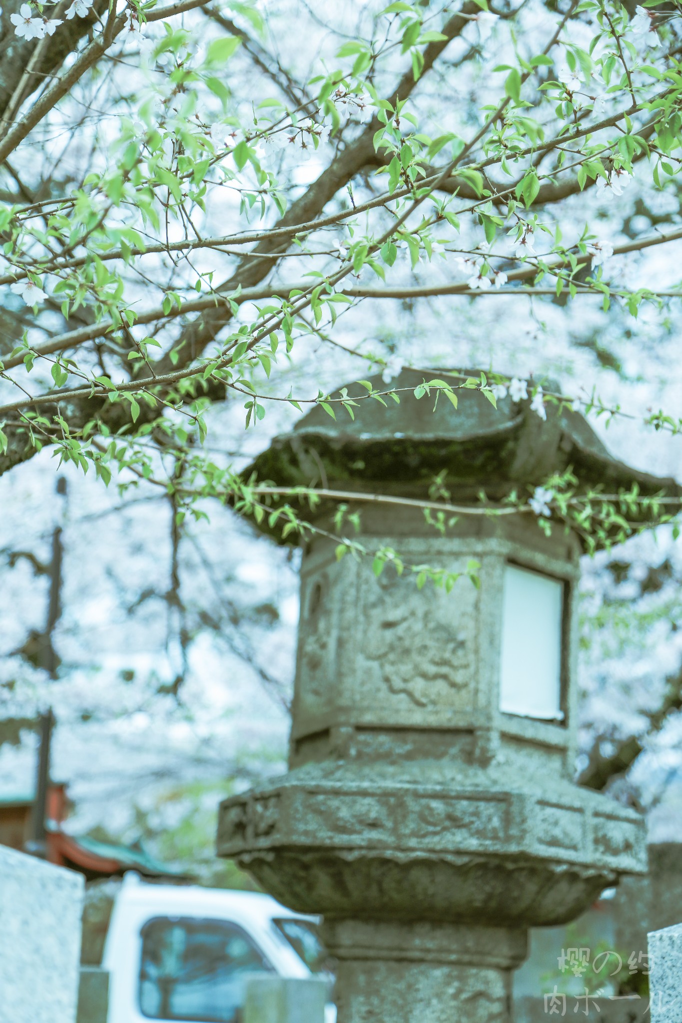 京都自助遊攻略