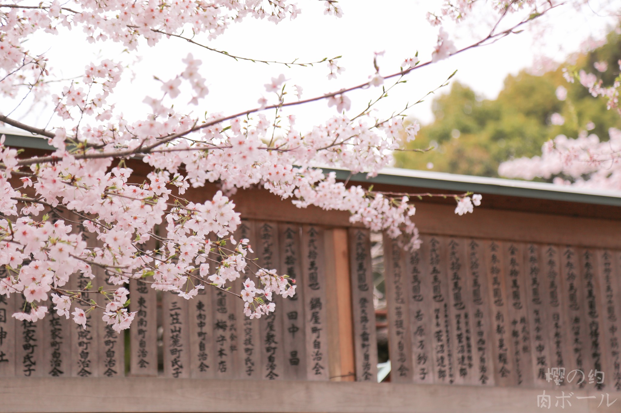 京都自助遊攻略