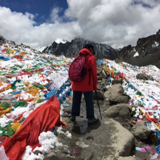 惹惹惹