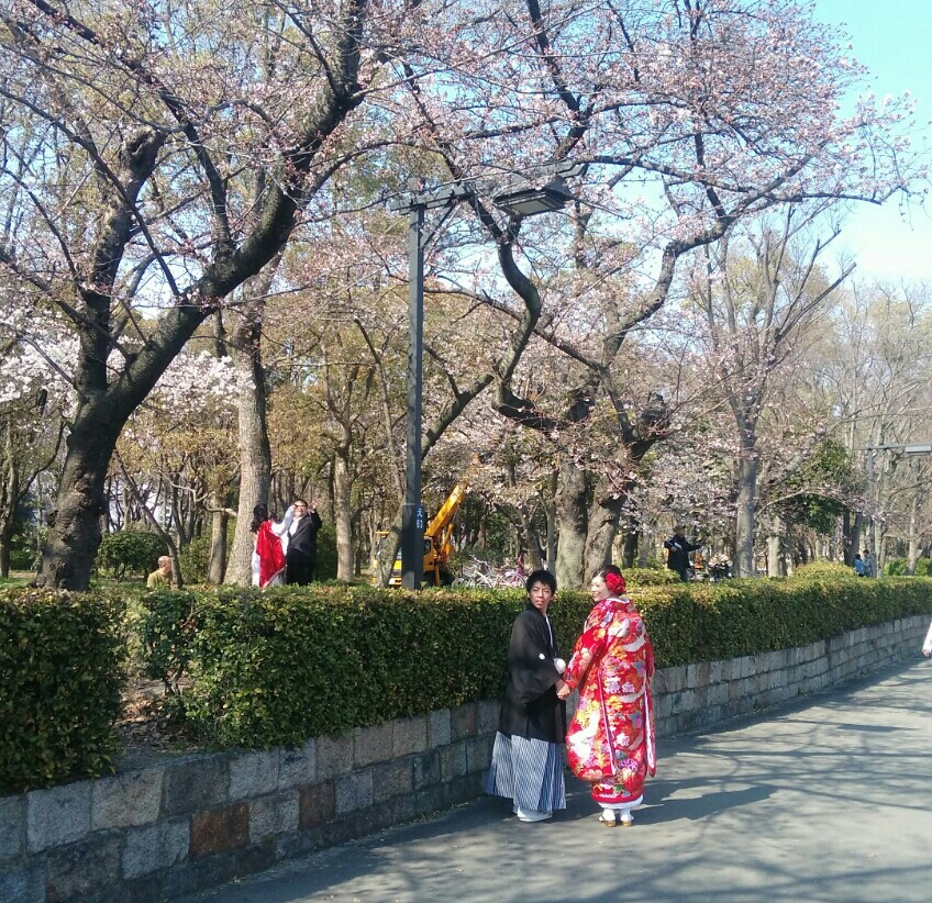 京都自助遊攻略