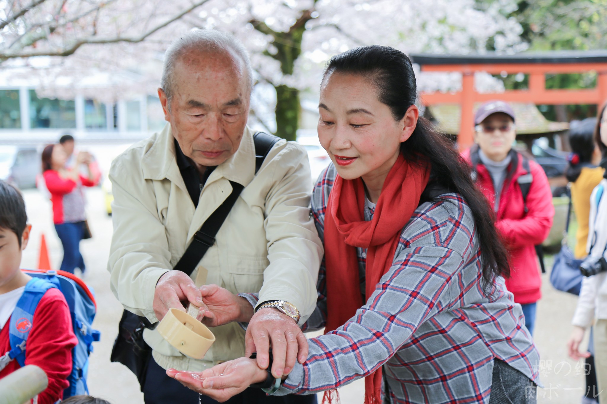 京都自助遊攻略