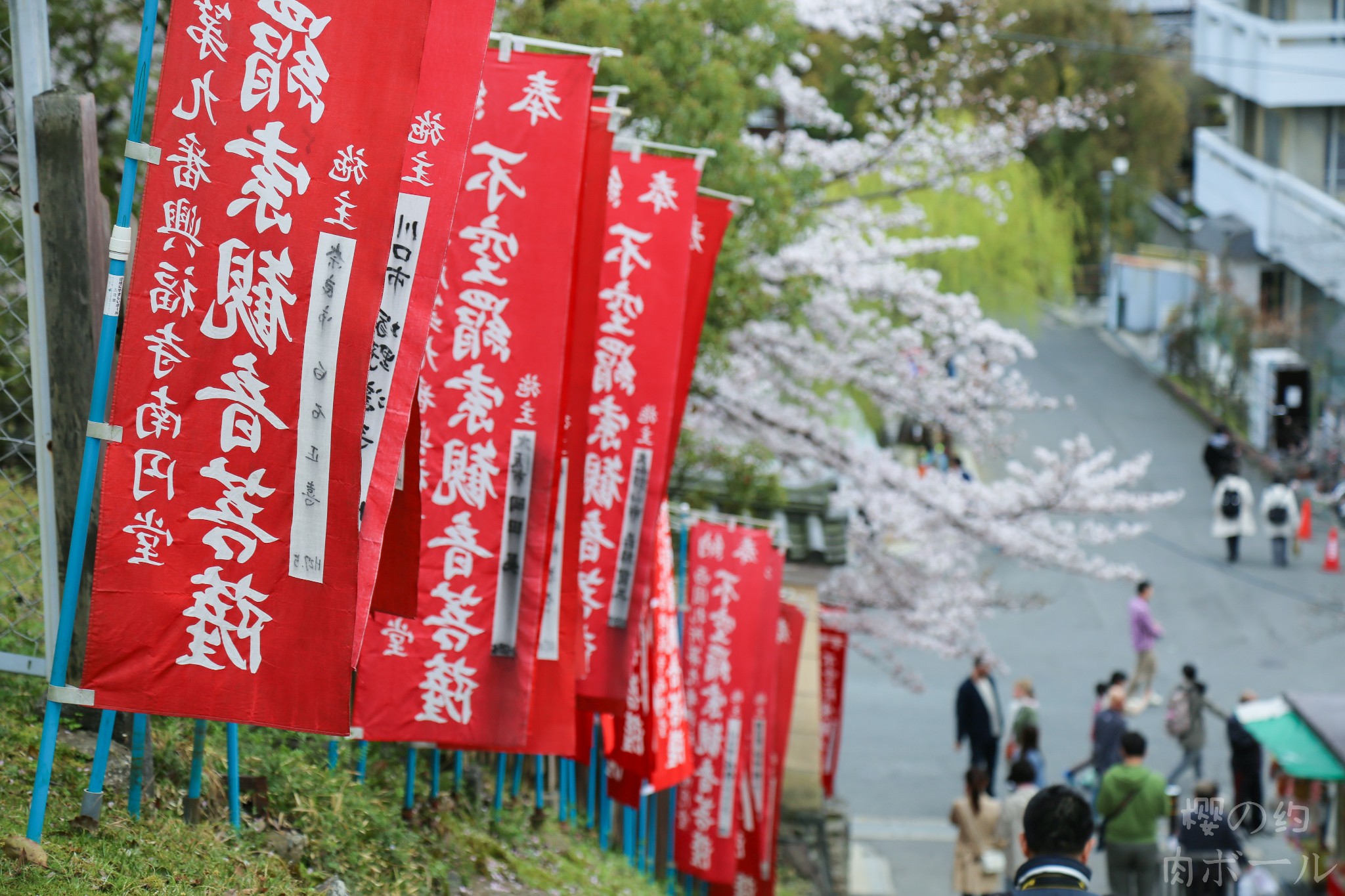 京都自助遊攻略