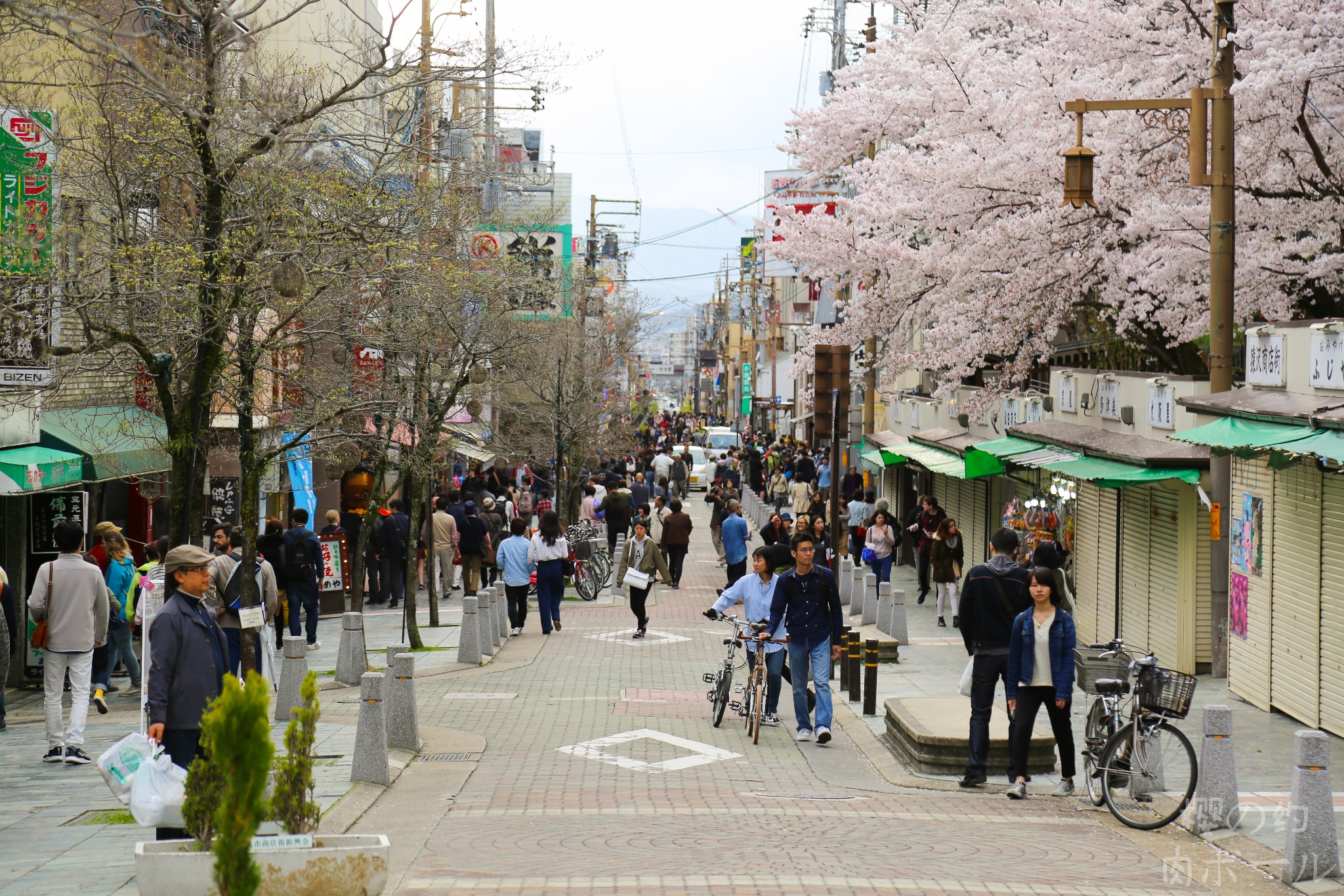 京都自助遊攻略