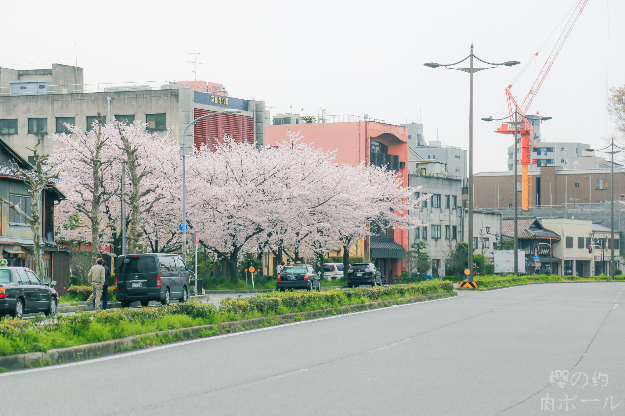 京都自助遊攻略