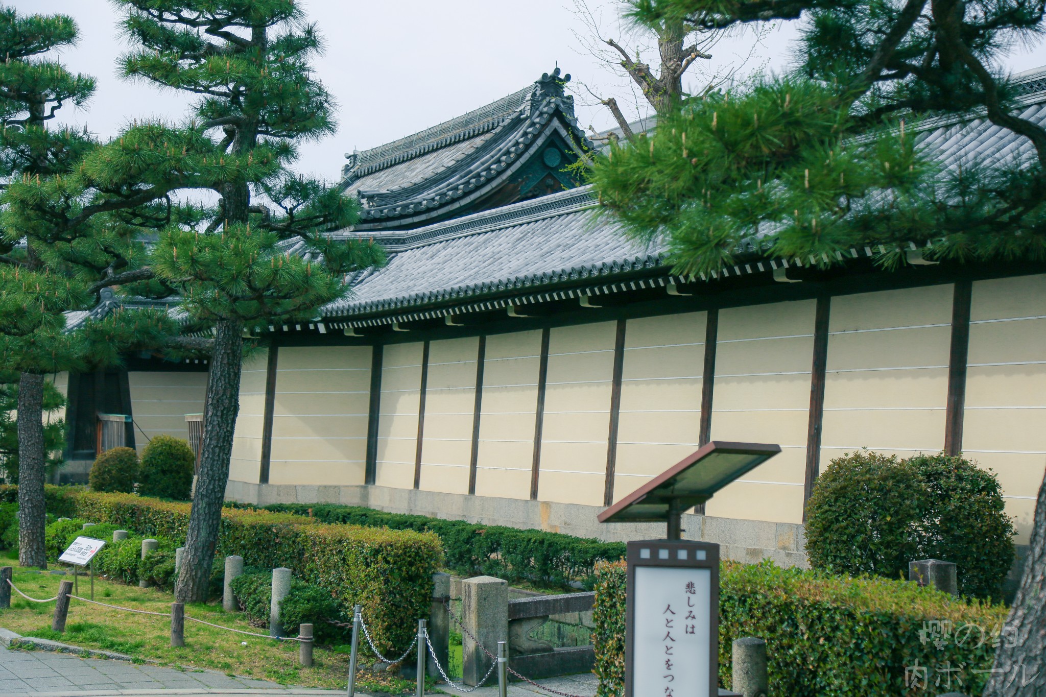 京都自助遊攻略