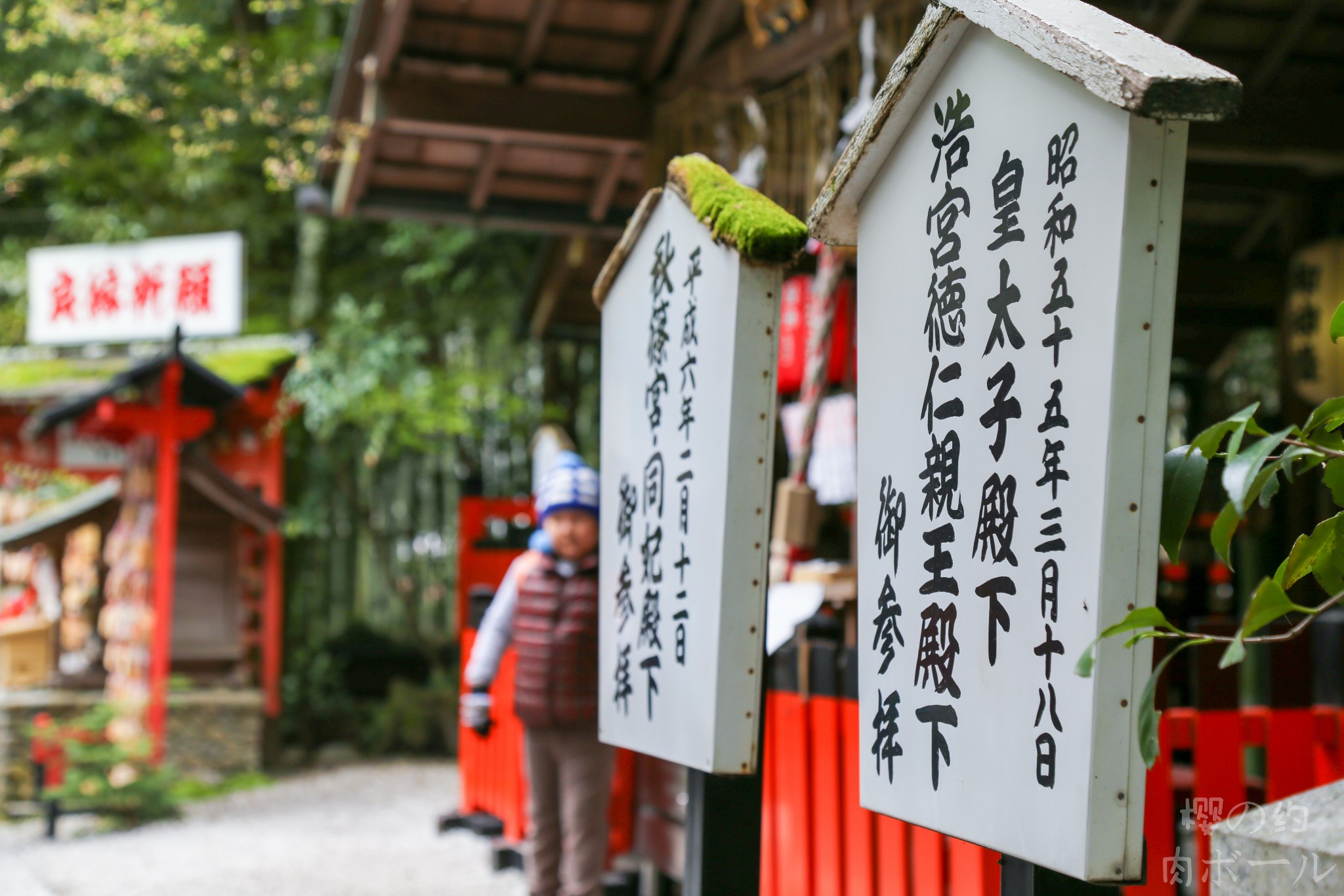 京都自助遊攻略