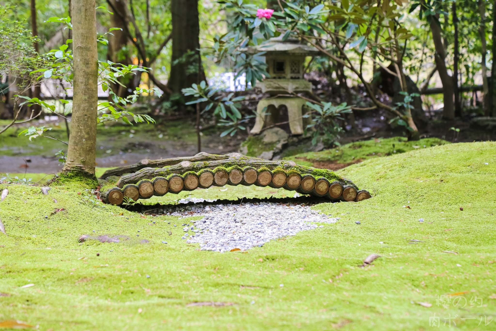 京都自助遊攻略