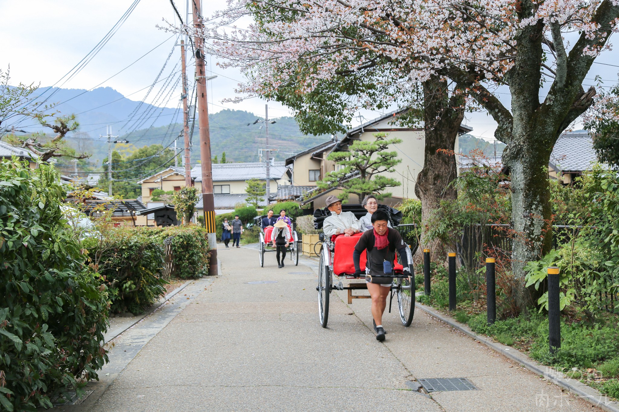 京都自助遊攻略