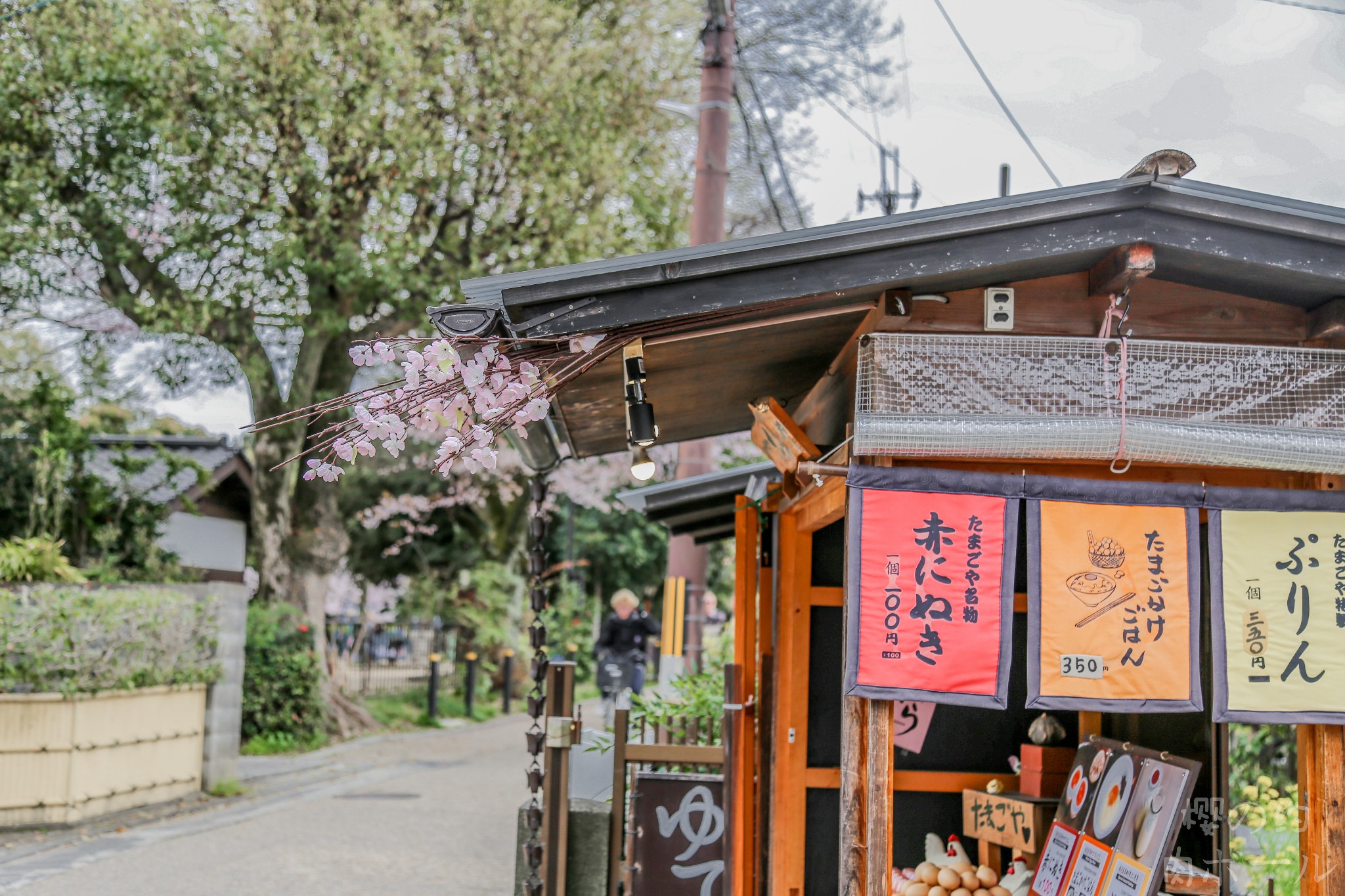 京都自助遊攻略