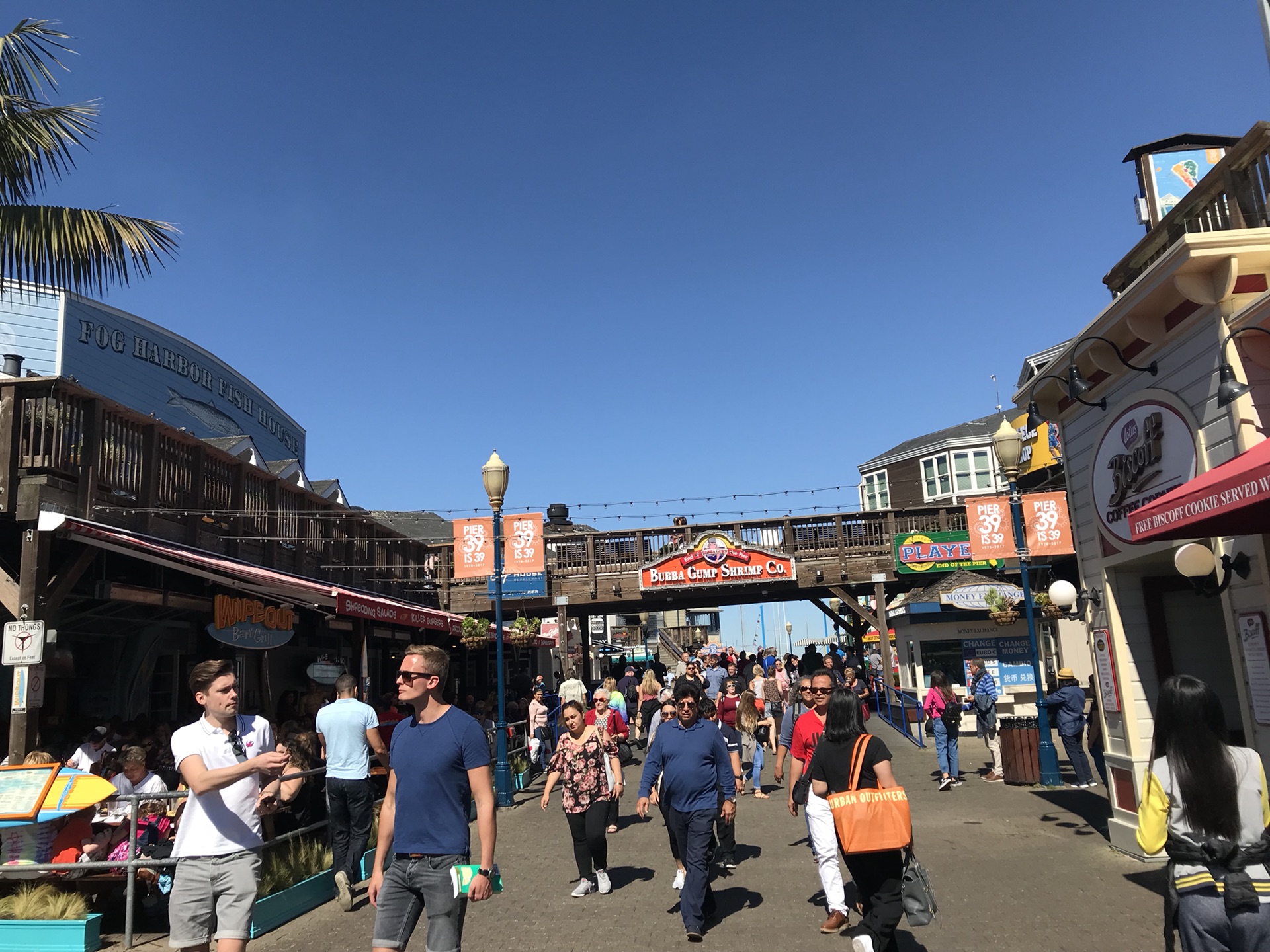 拖儿带女游美西 感受加州的阳光灿烂