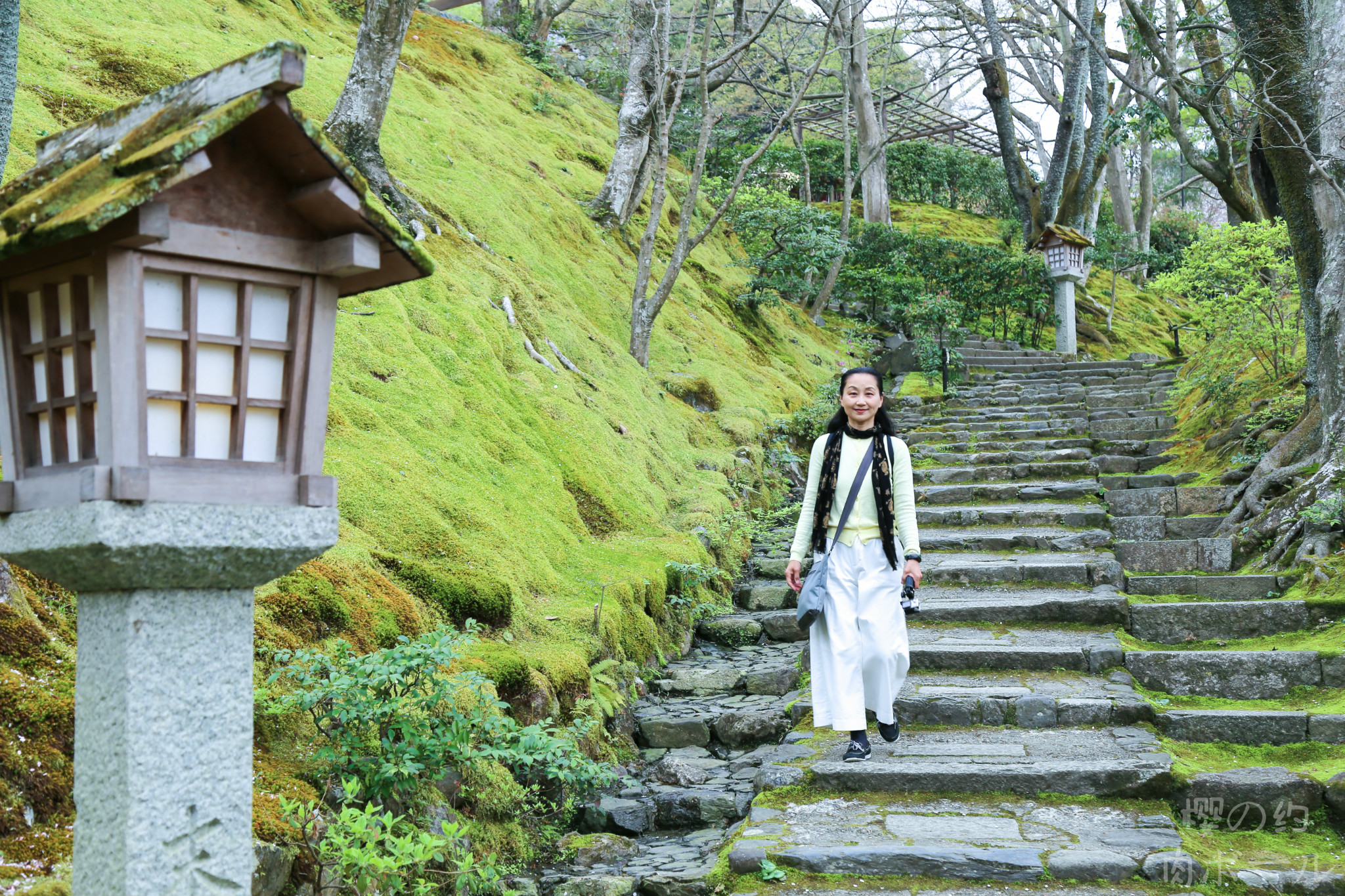 京都自助遊攻略