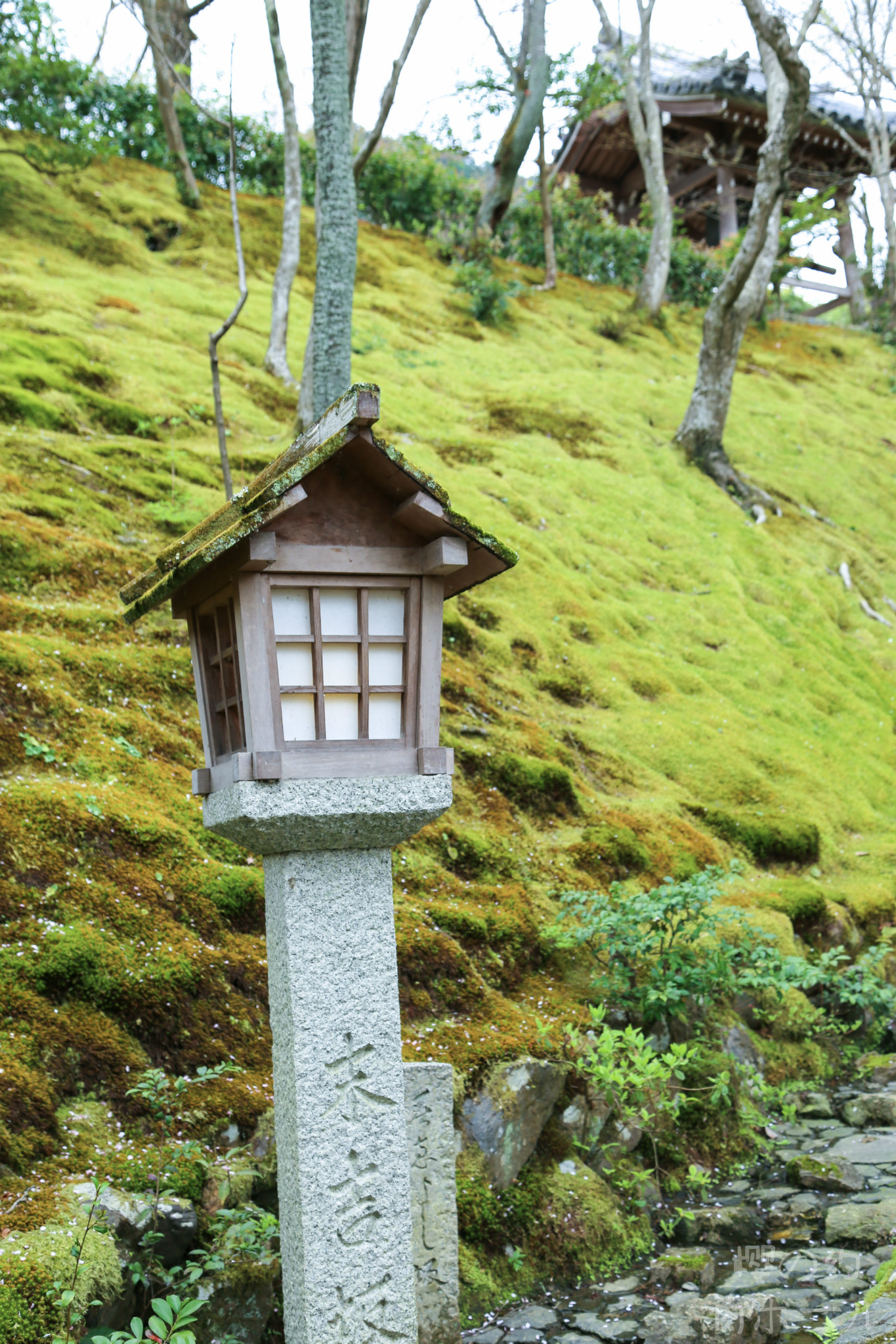 京都自助遊攻略