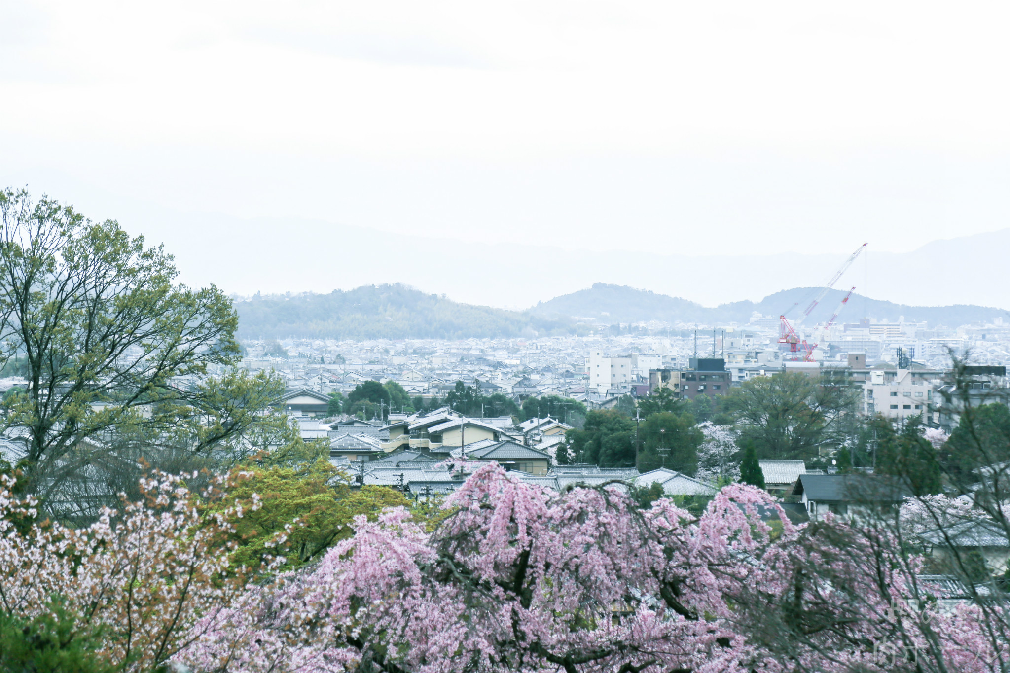 京都自助遊攻略