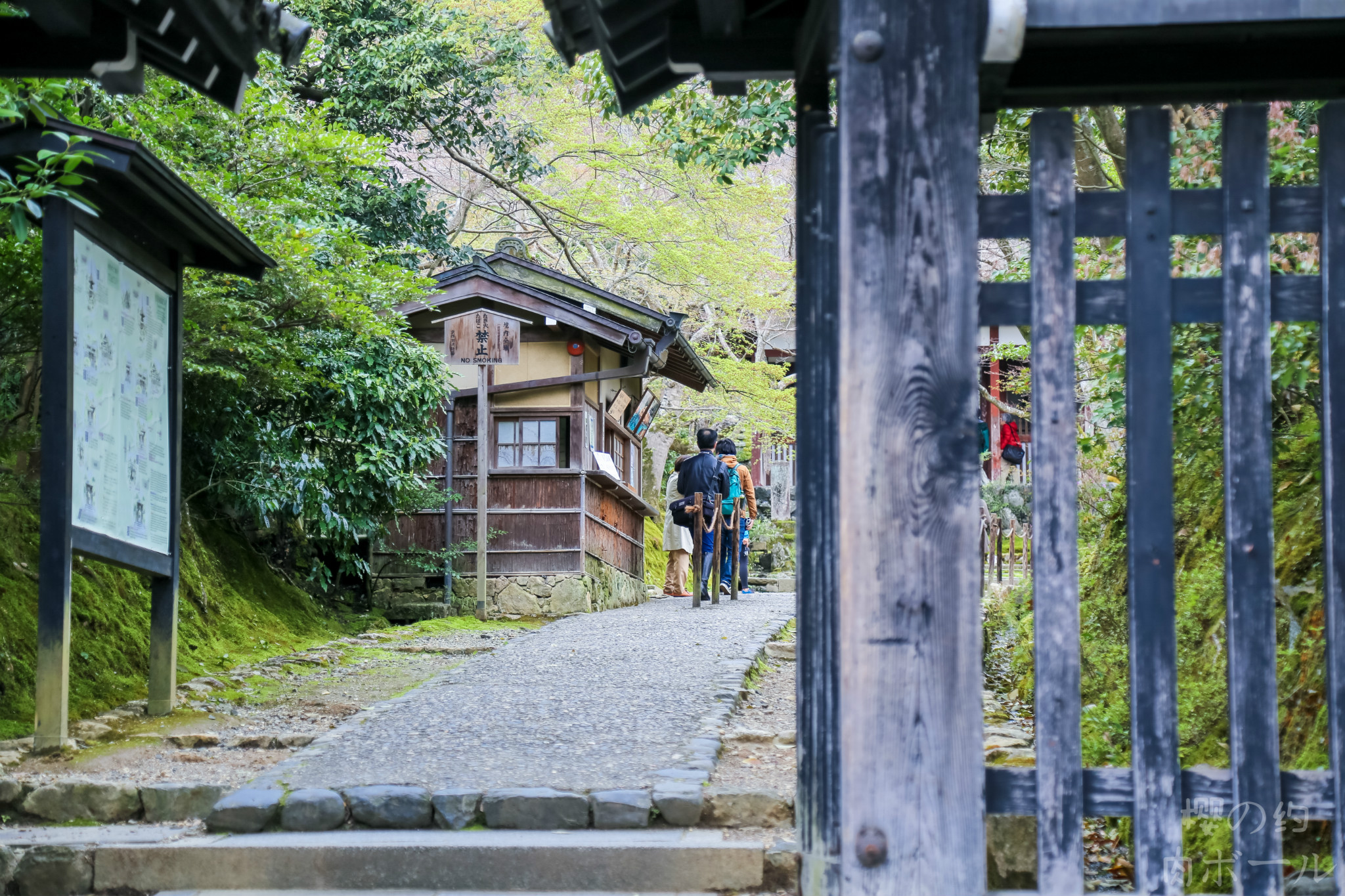 京都自助遊攻略