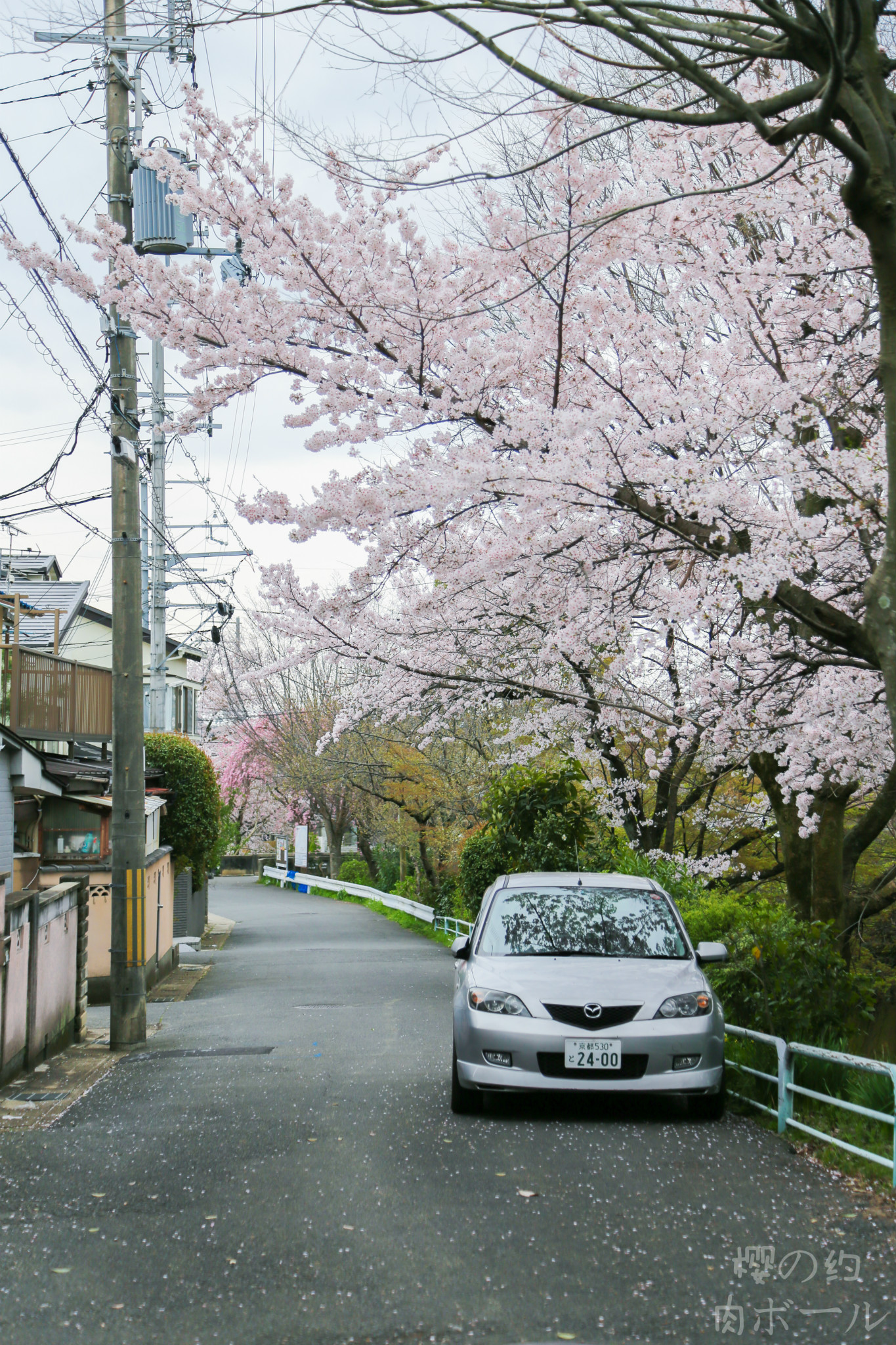 京都自助遊攻略