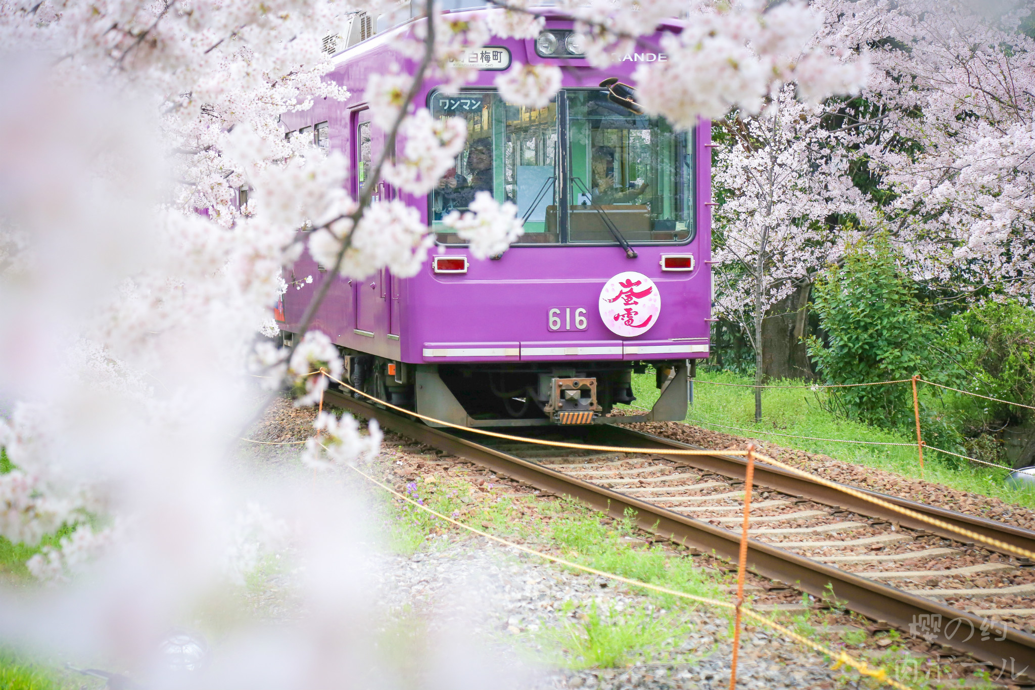 京都自助遊攻略