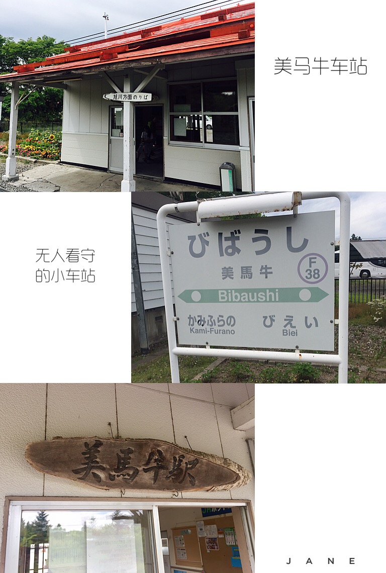 北海道自助遊攻略