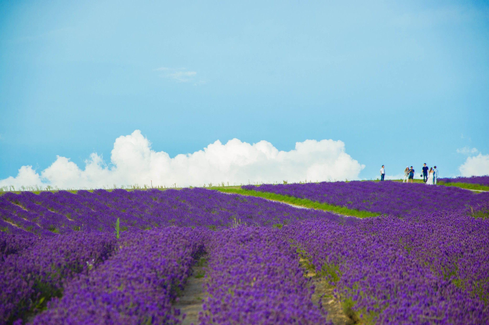 第53页北海道热门游记 北海道自助游游记 北海道旅游热门游记 马蜂窝