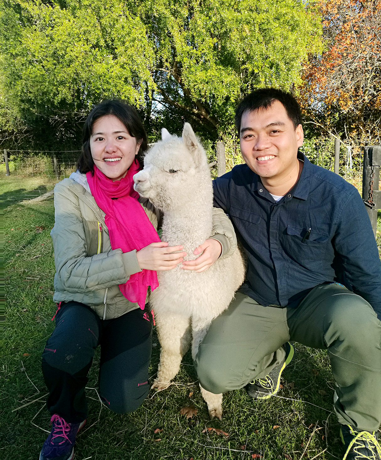 新西蘭自助遊攻略