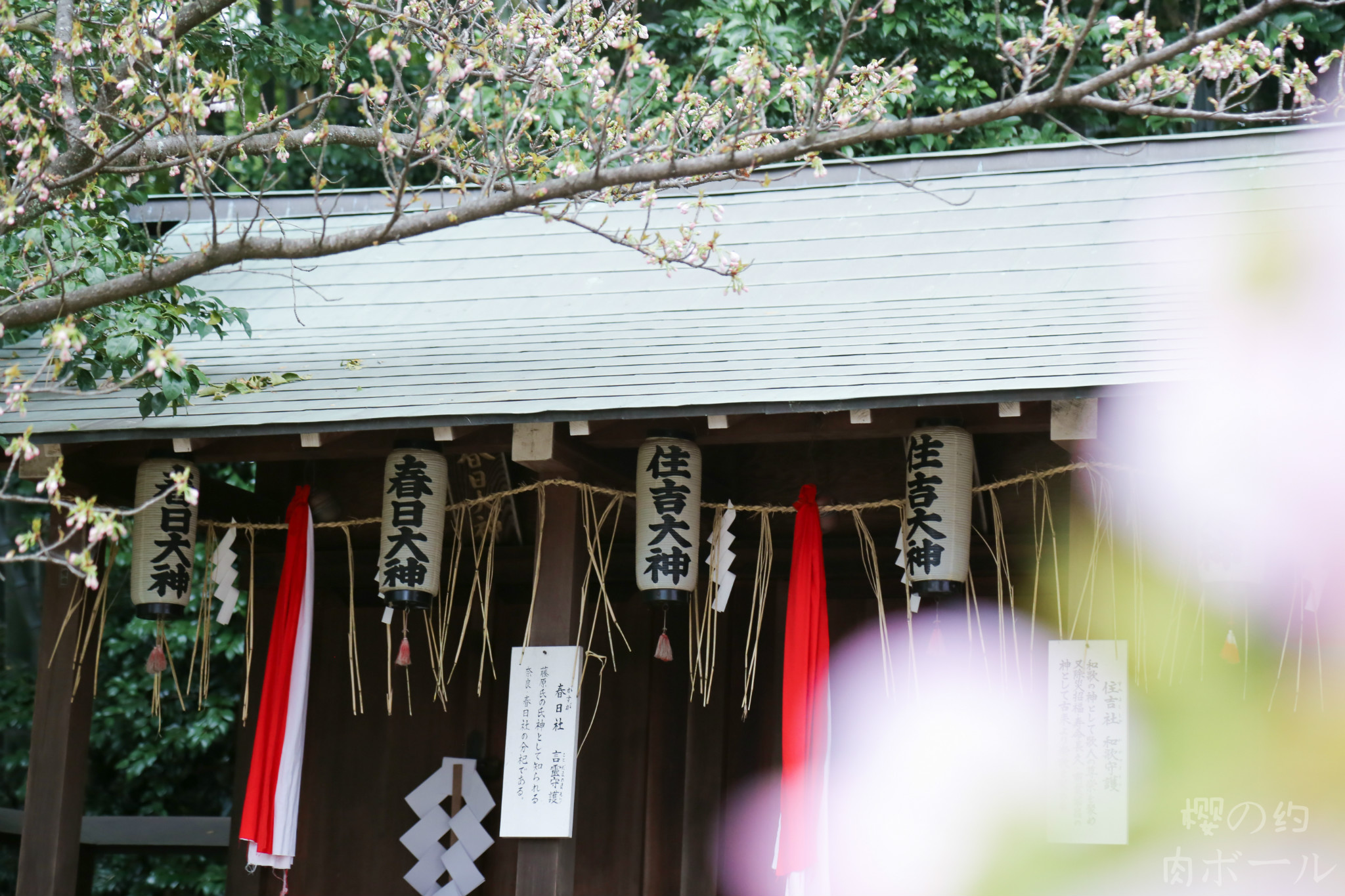 京都自助遊攻略