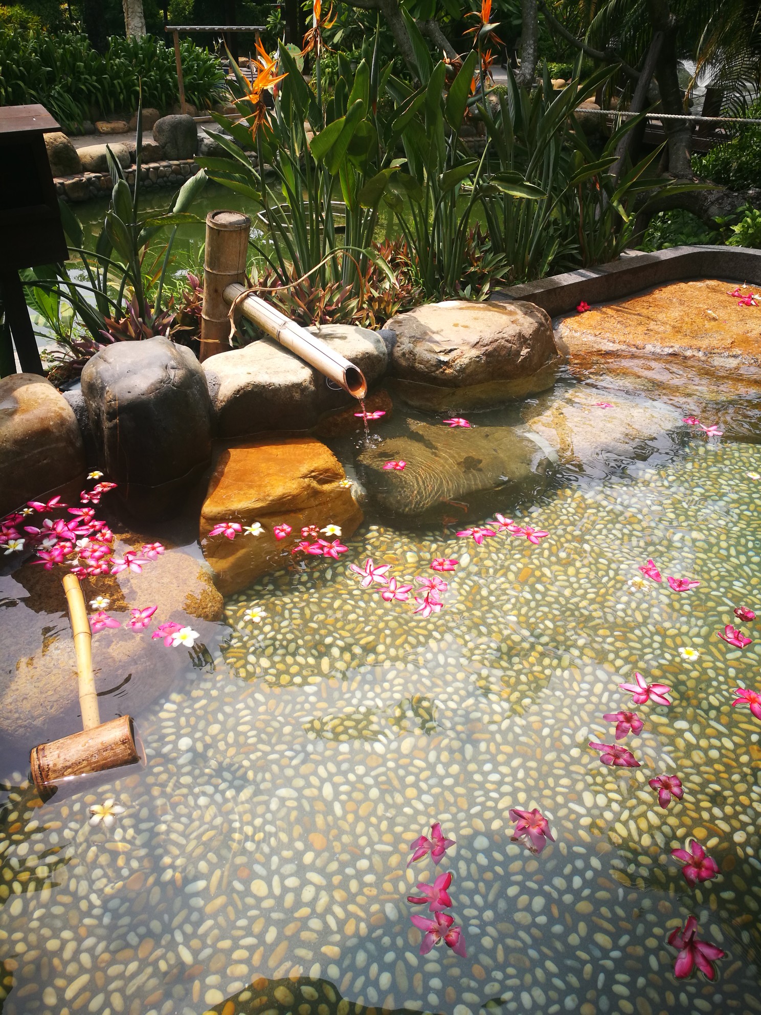 厦门日月谷温泉一日游