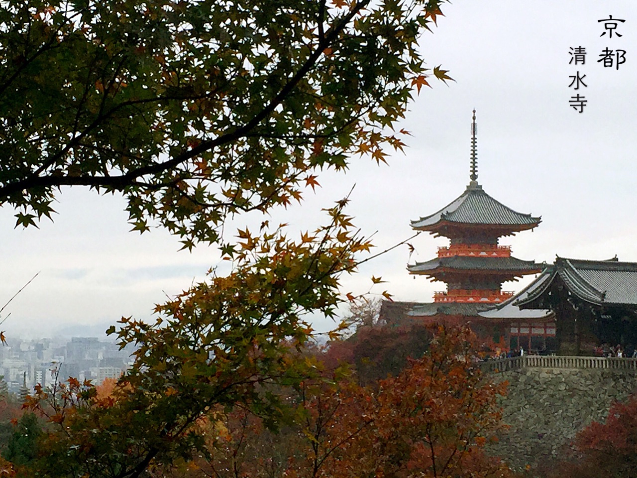 京都自助遊攻略