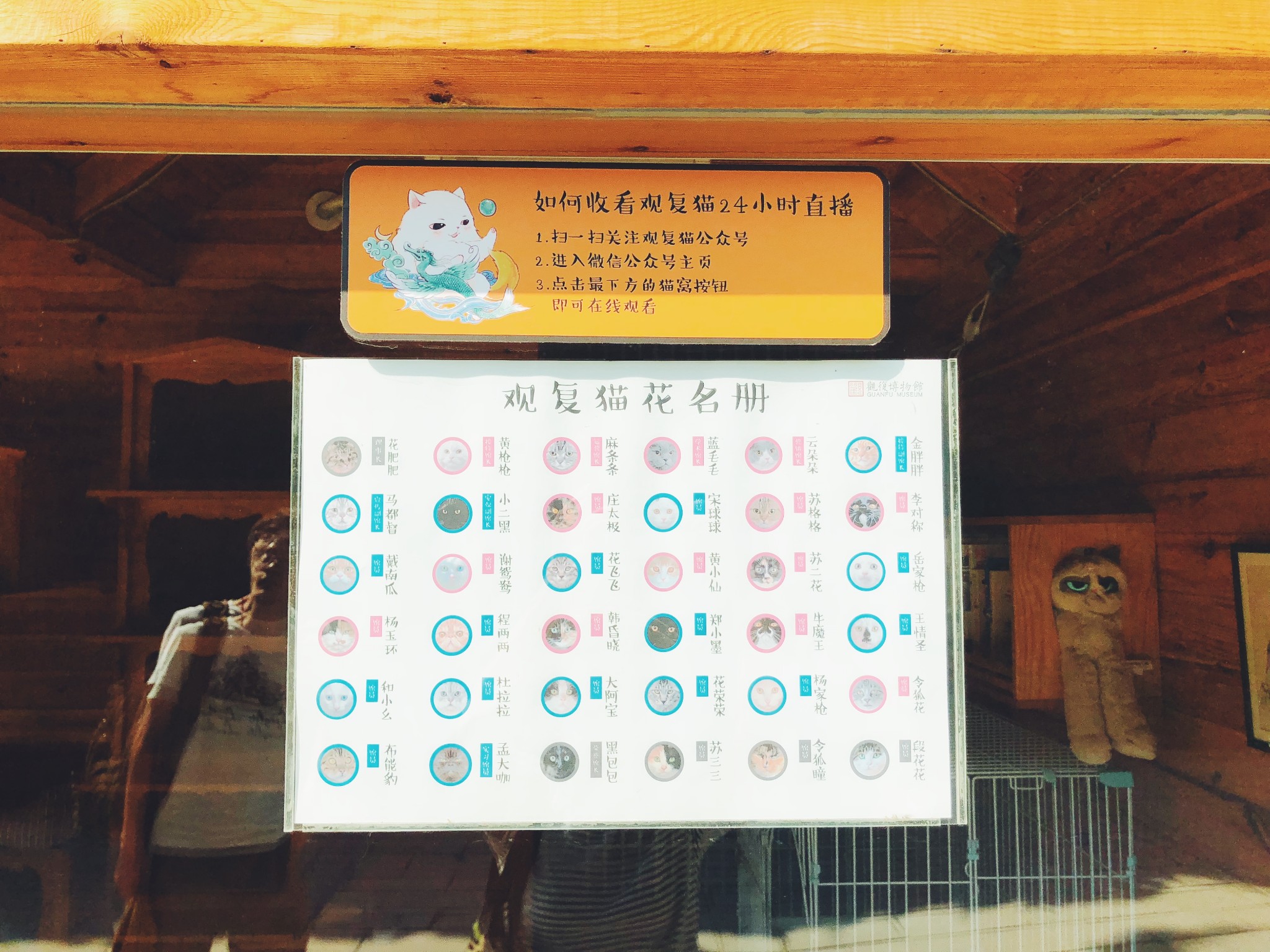 北京的这个秋天,去观复博物馆撸猫 赏秋 看展吧!