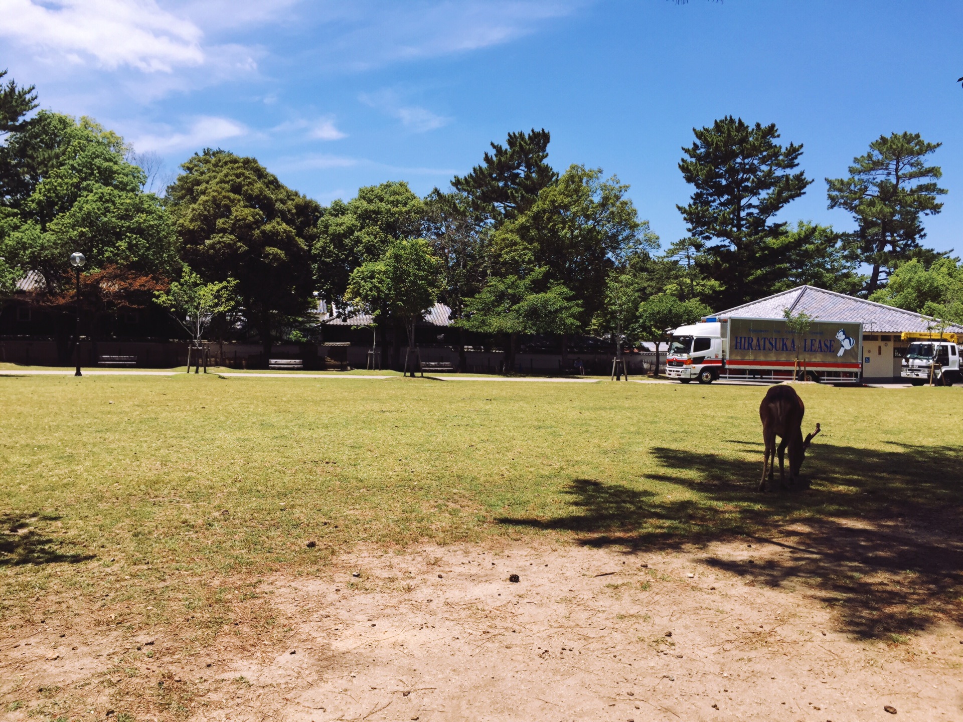 奈良旅游攻略—回顾旅程——人气景点「nara奈良」 「伏见稻荷」